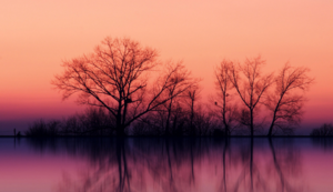 中国人保携手眉山天牛华兴广汽丰田购车嘉年华