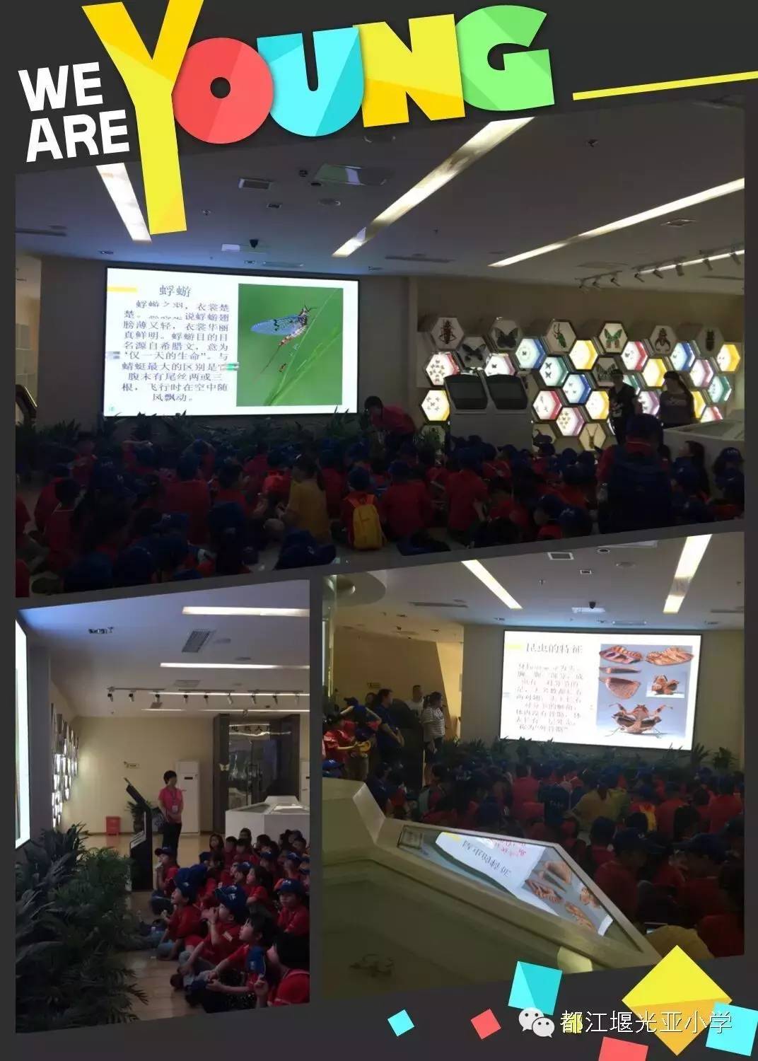 2023：“暑期”校长对你说——都江堰市光亚学校卿光亚