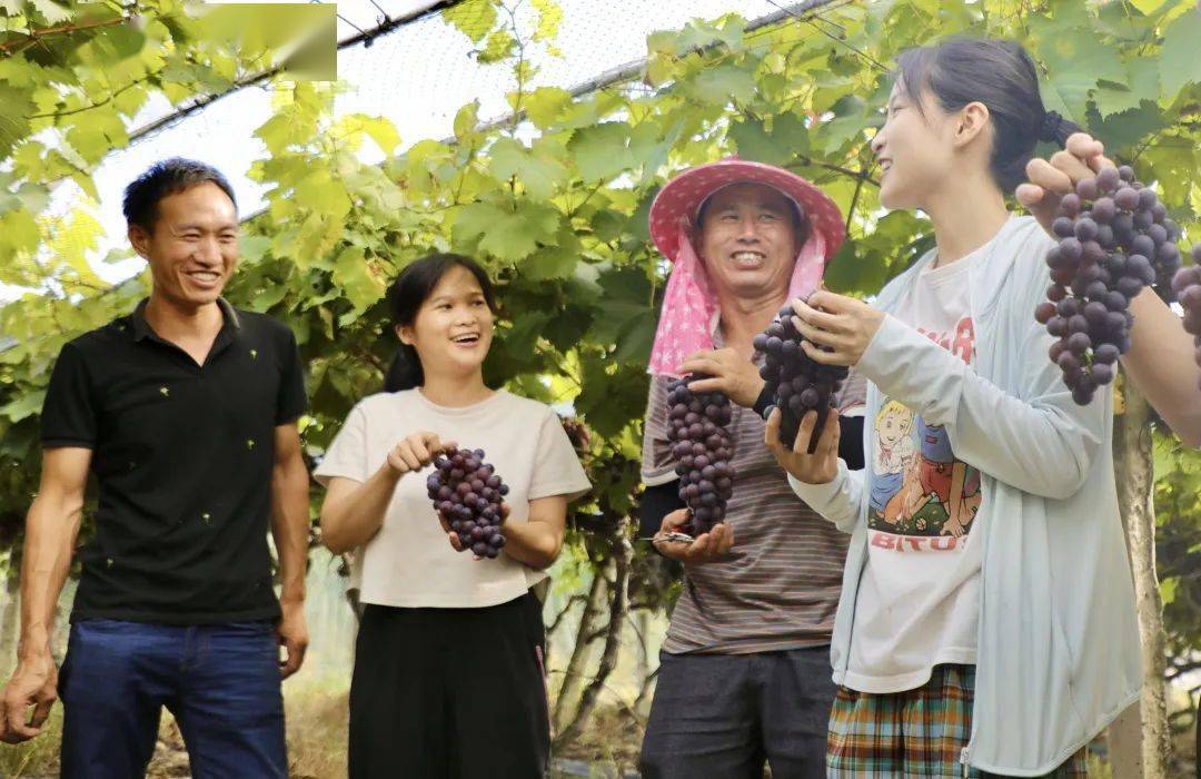 荥经泗坪乡人大：铁索桥变公路桥 架起乡村振兴“致富桥”
