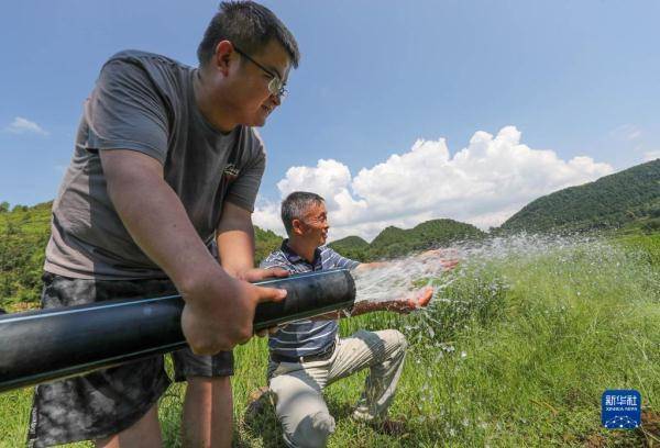 射洪市委副书记、市长王能一行到复兴镇督导抗旱保收、森林防灭火等工作