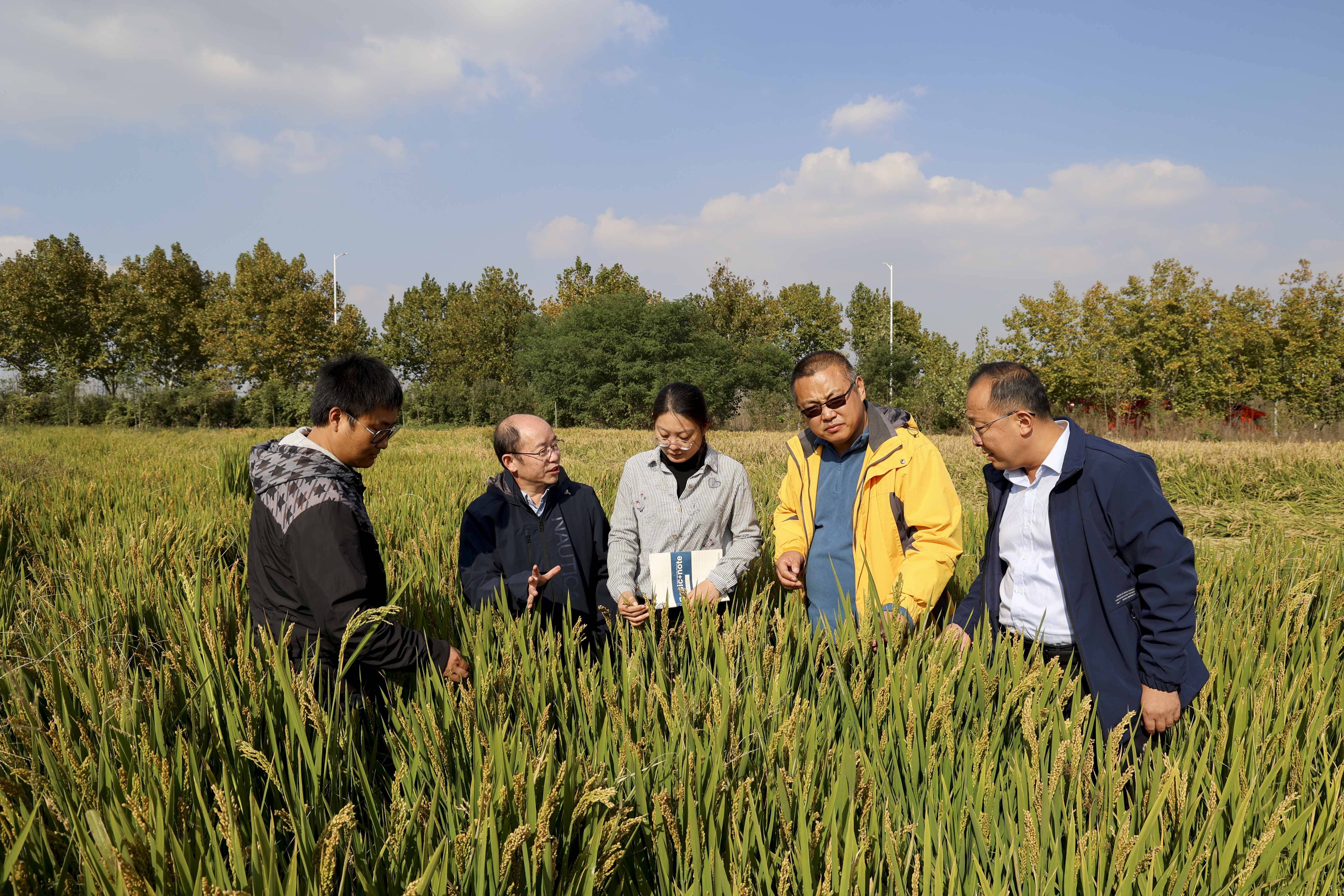 张友美：内江市方田村乡村振兴的带头人