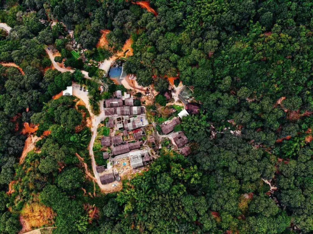 东兴区龙兴村：谱写乡村振兴的新篇章
