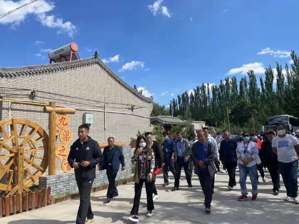 东兴区龙兴村：谱写乡村振兴的新篇章