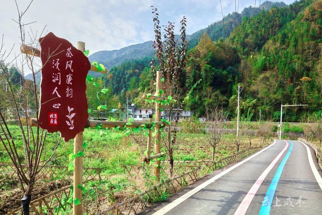 李玫玲：情系内江土主新村 有效衔接乡村振兴