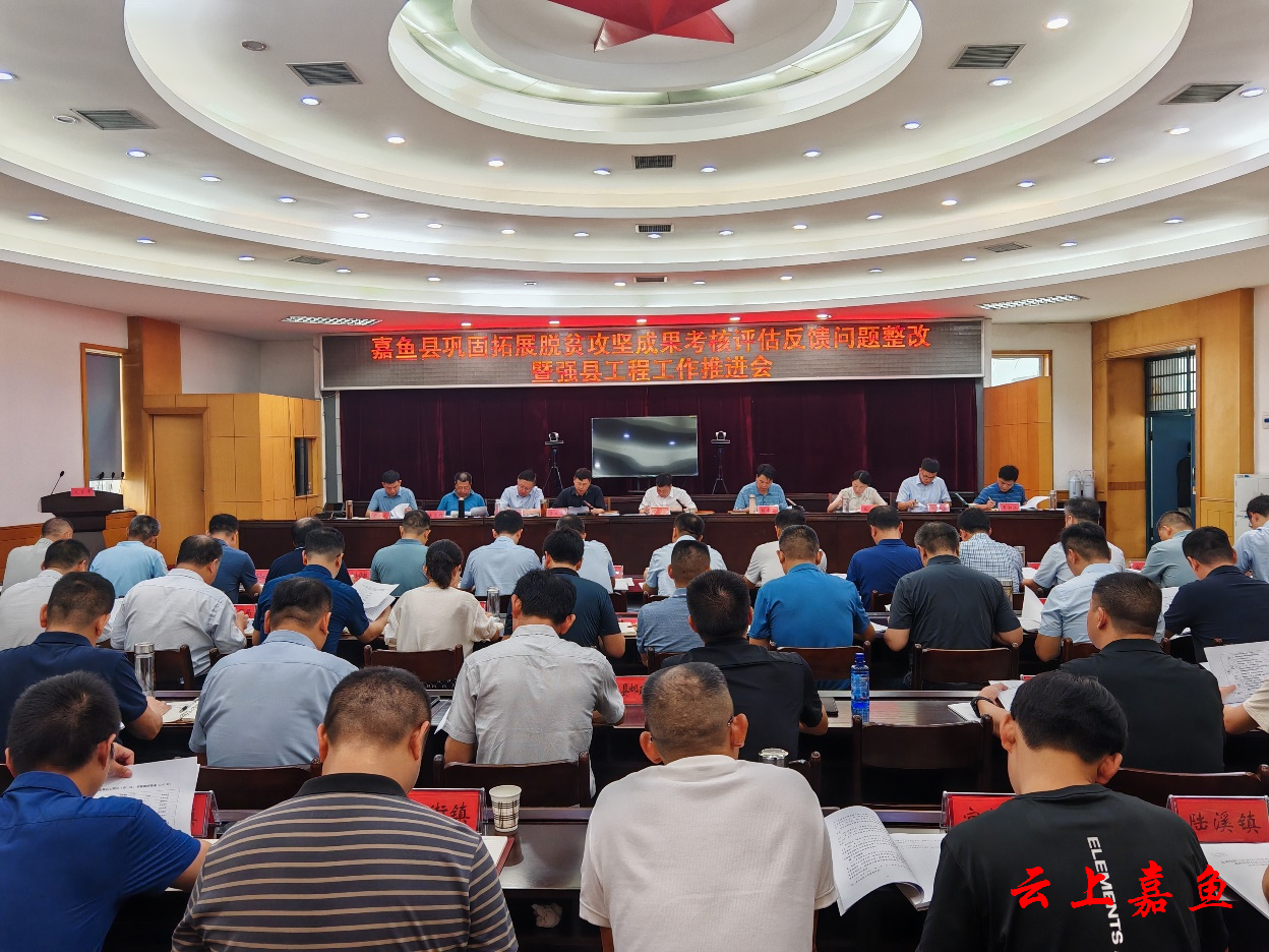 巩固提升脱贫成果 大力推进强村富民