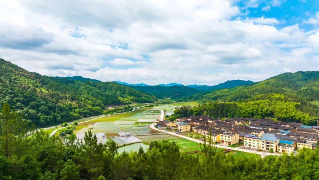 内江市水口寺村:抓好党建引领 促进产业发展