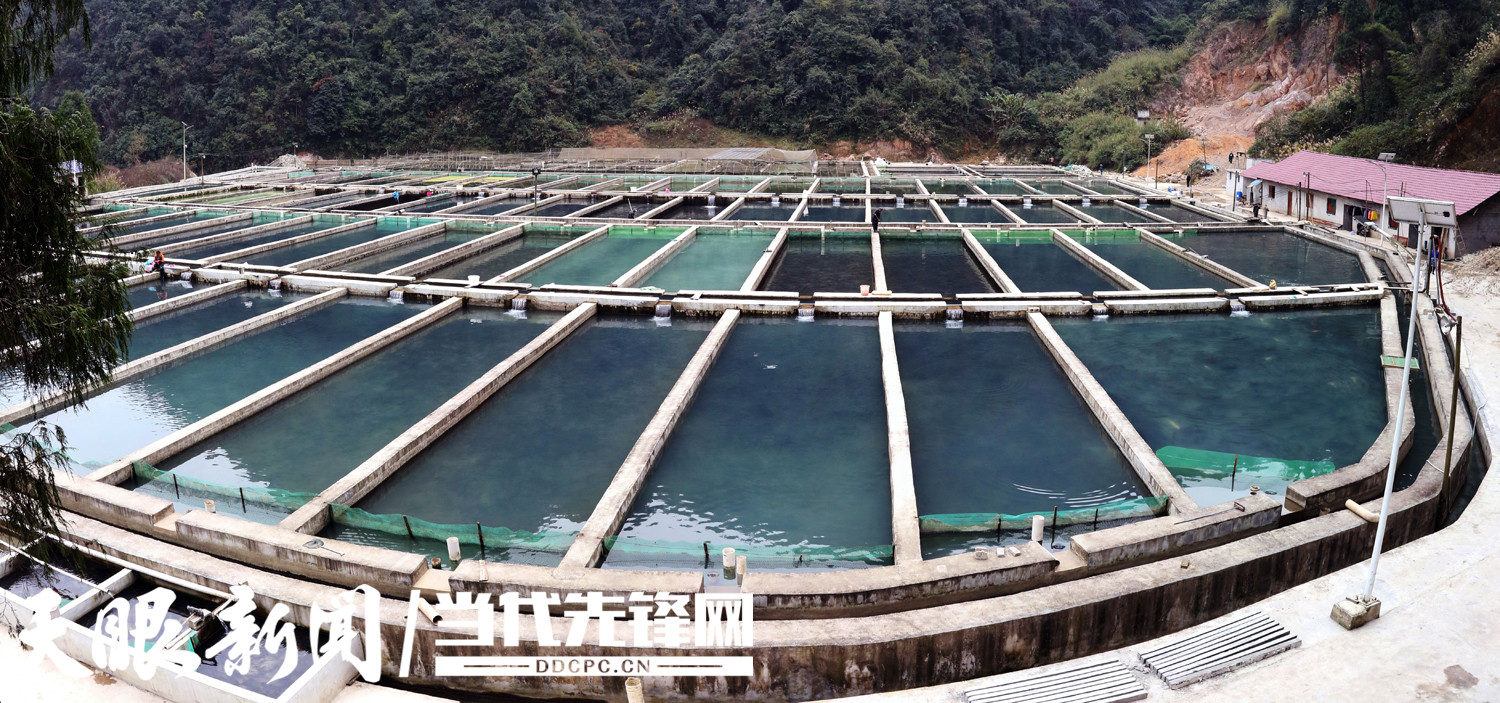 发展特色水产 助力乡村振兴