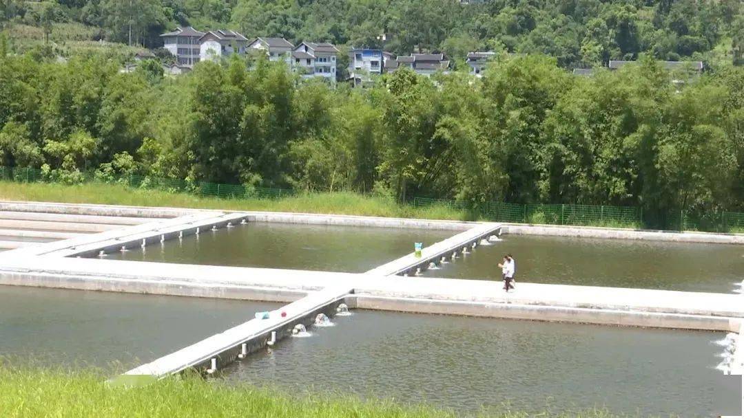 发展特色水产 助力乡村振兴