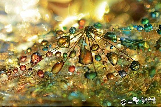 桂溪街道和平社区开展“微观秘境：探索科学微观世界”活动