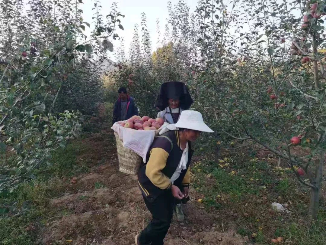 三名彝族老乡多年无户口 派出所积极奔走成功落户