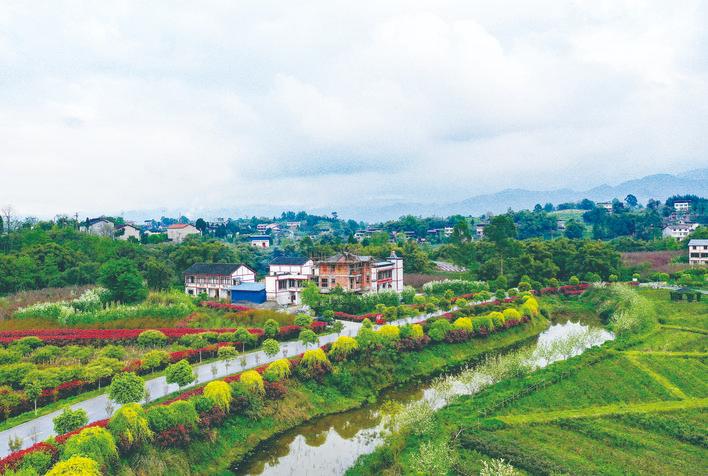 四川明月镇白鹤咀村:昔日水淹贫困村嬗变“生态宜居村”